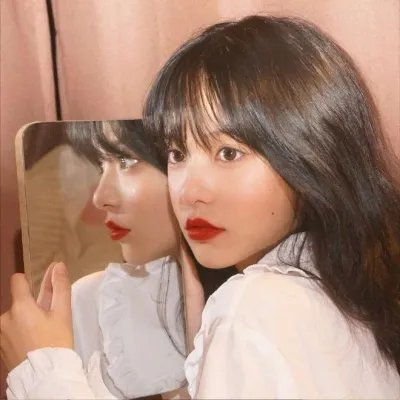 红犬历险记