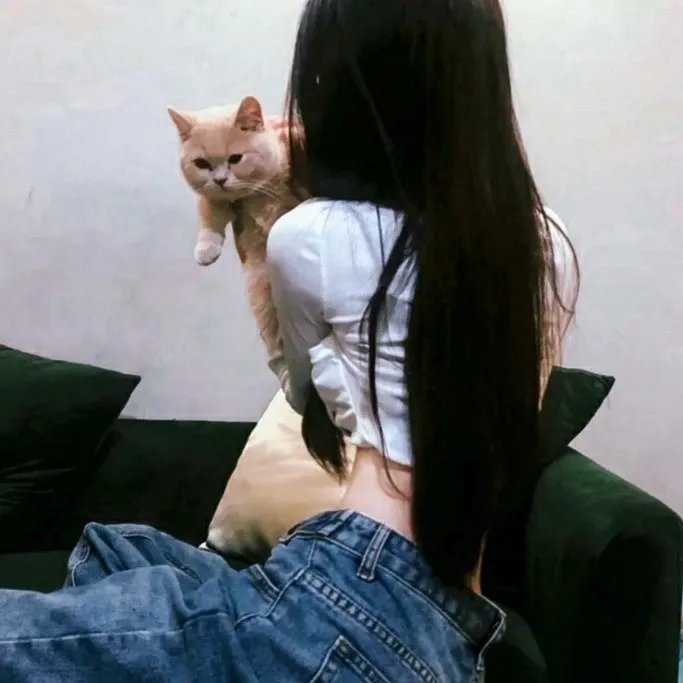 炮打双灯